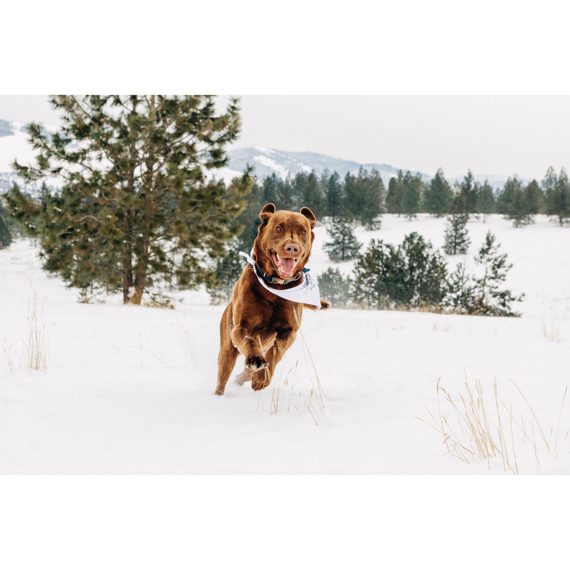Boone living his best life.