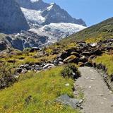 Rob Roy Glacier Track