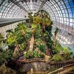 Myriad Botanical Gardens