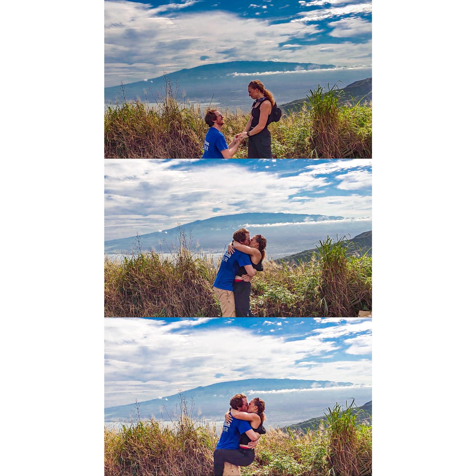 The proposal in all its stages, overlooking Maui