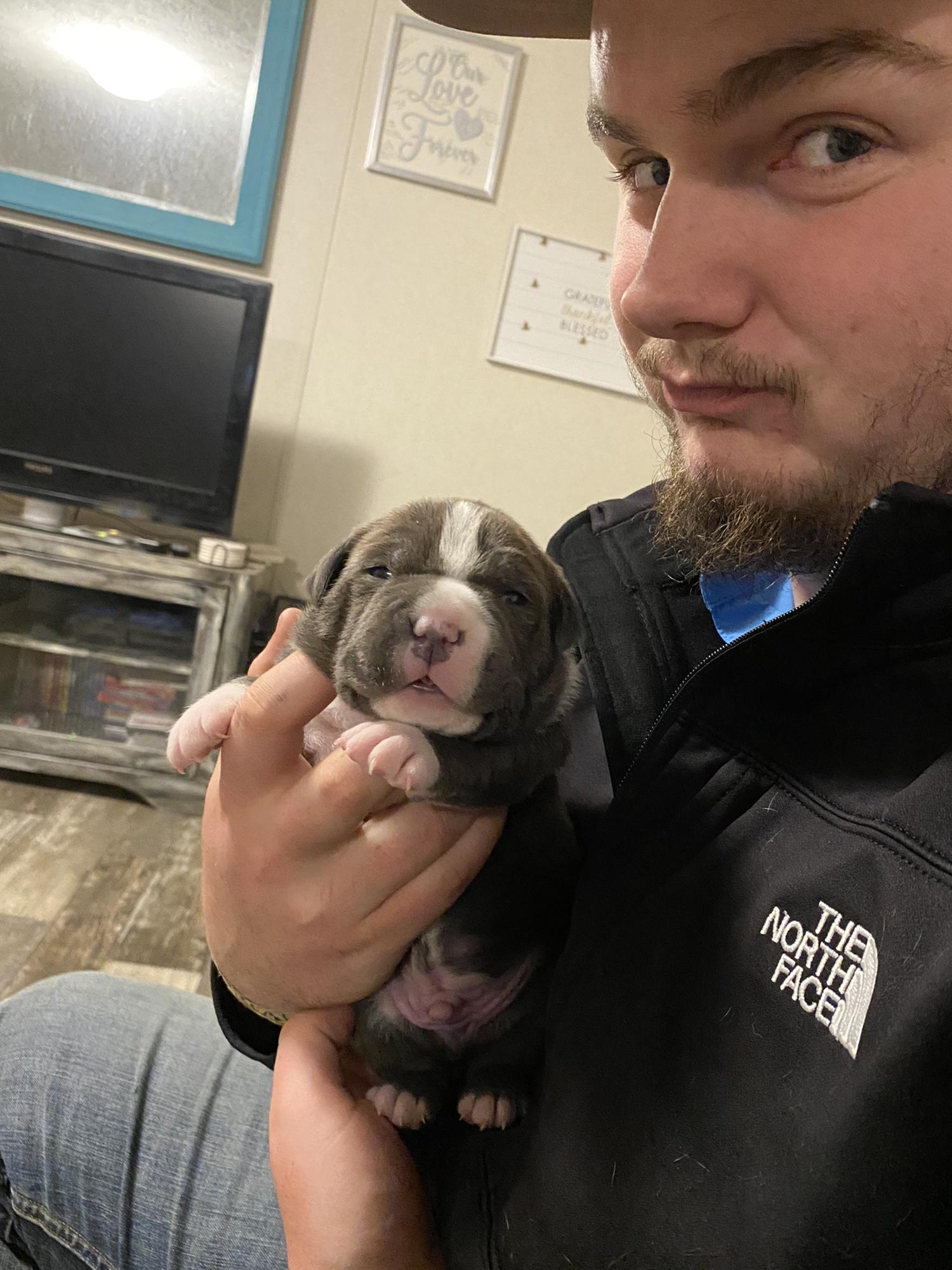 The day we picked out of second baby, Stitch. December 2020.