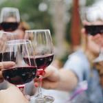 Wine Tours & Wine Tastings