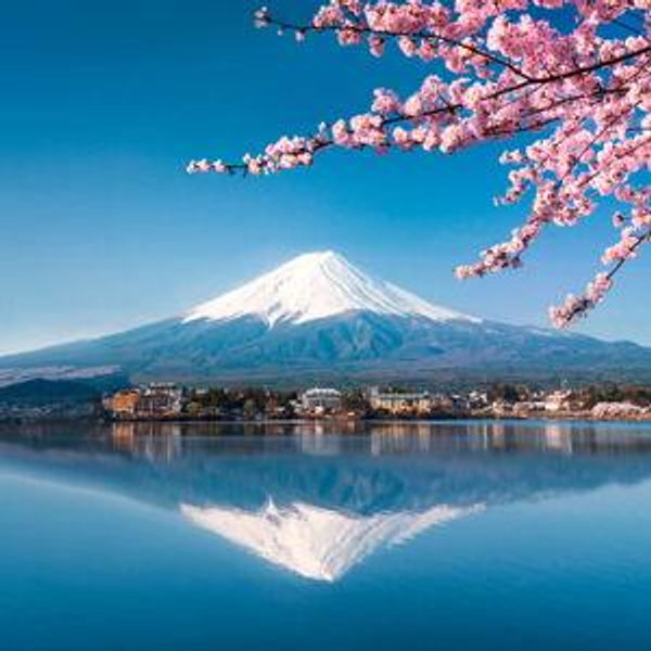 Honeymoon to Japan, Summer 2027