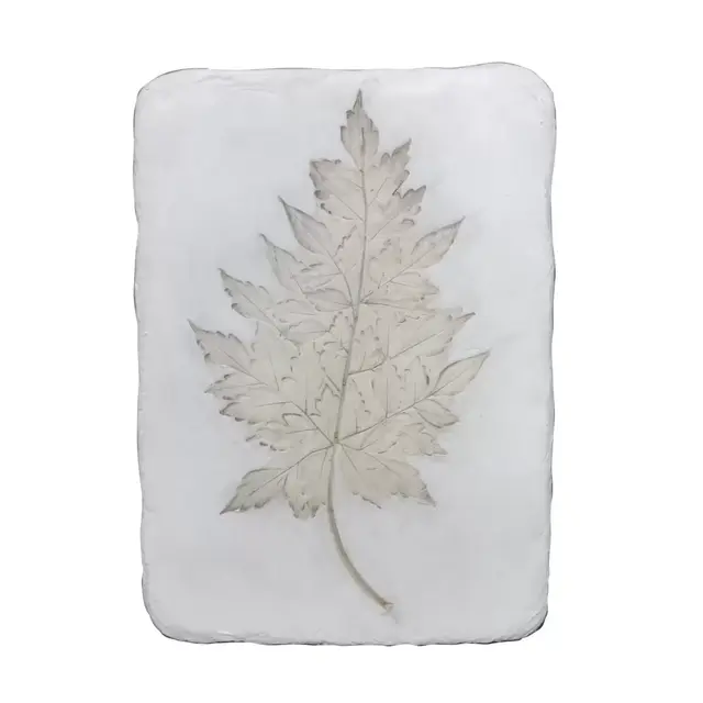 Bee & Willow™ Wild Fern 4 Botanical Plaque in White