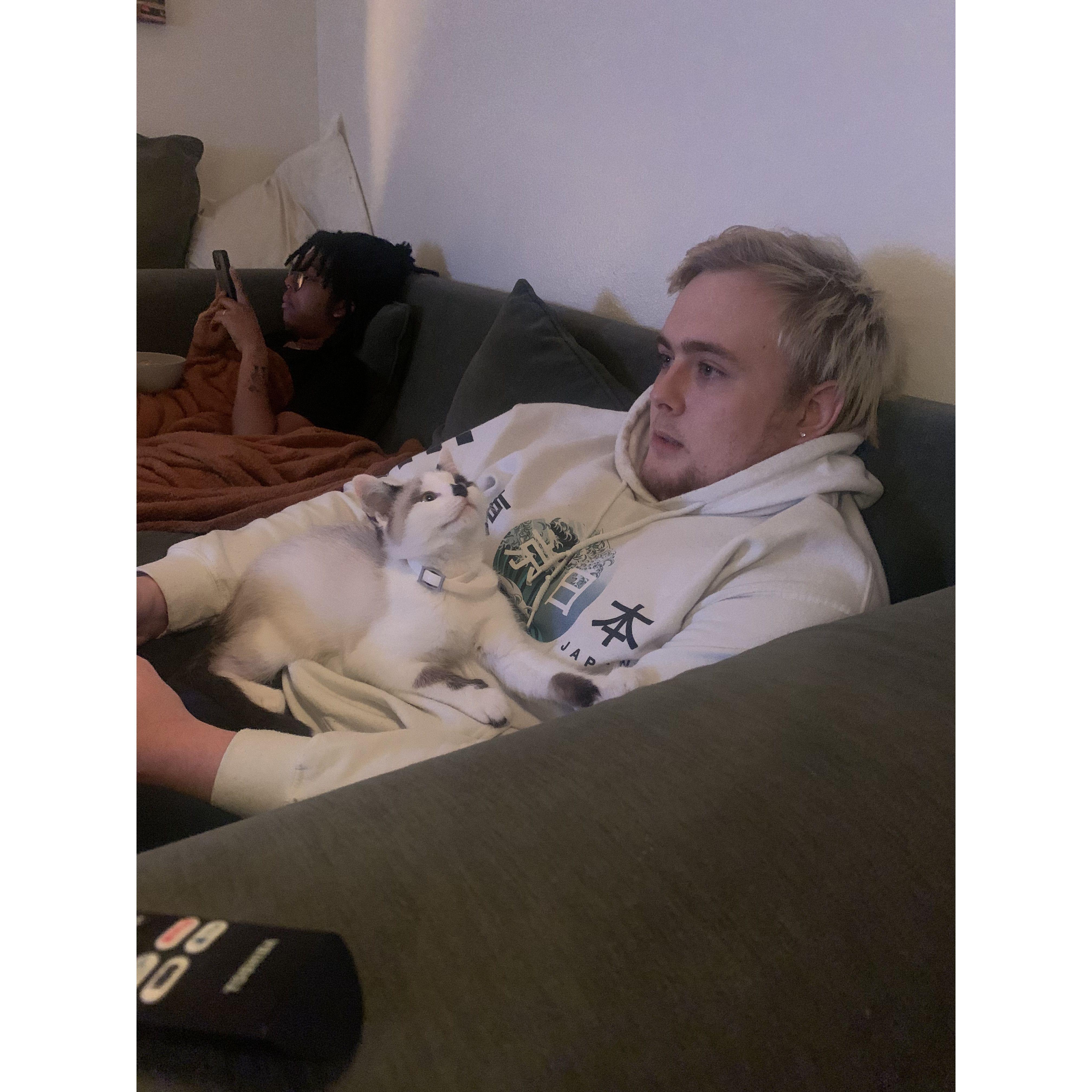 Will playing video games with our kitten Odin