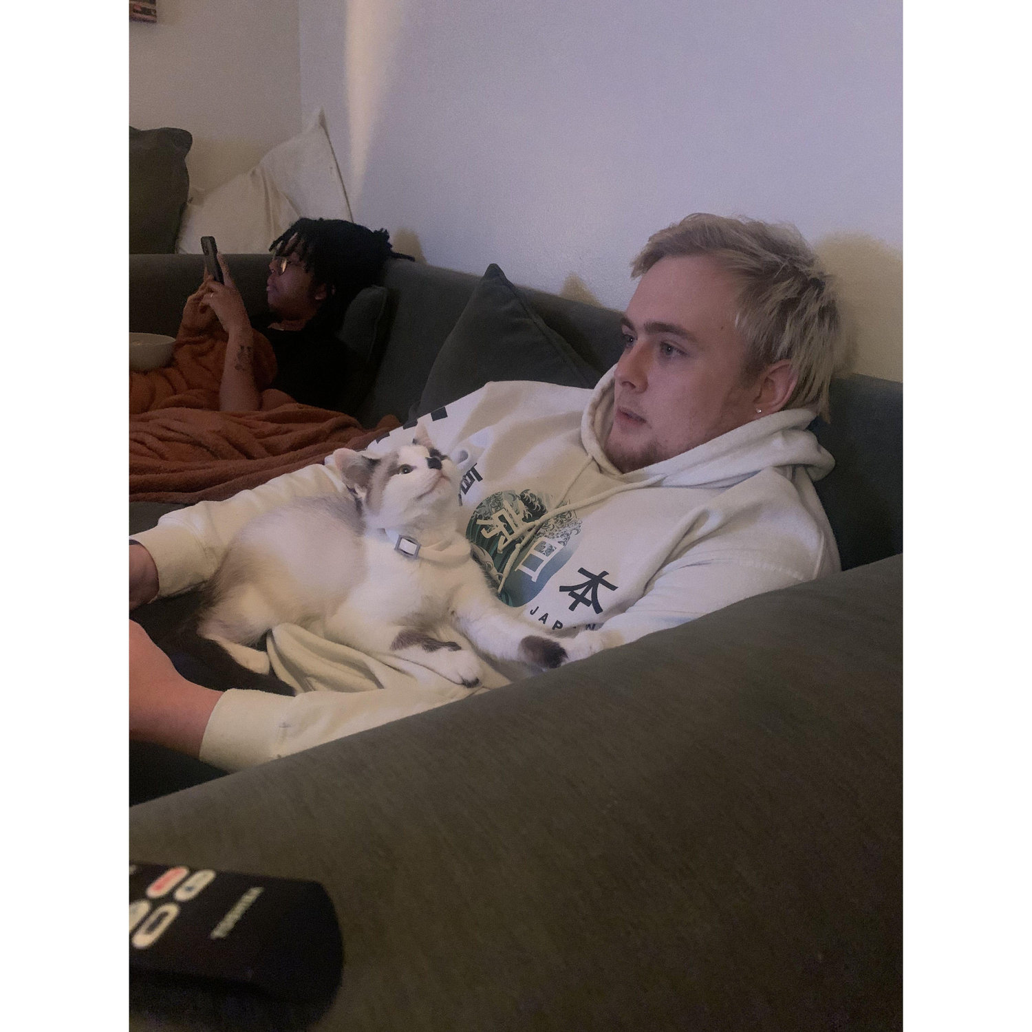 Will playing video games with our kitten Odin