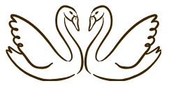 The Wedding Website of Sam Anthony and Rachel Etzel