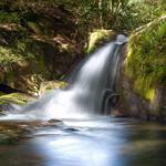 Raven Cliff Falls Trail