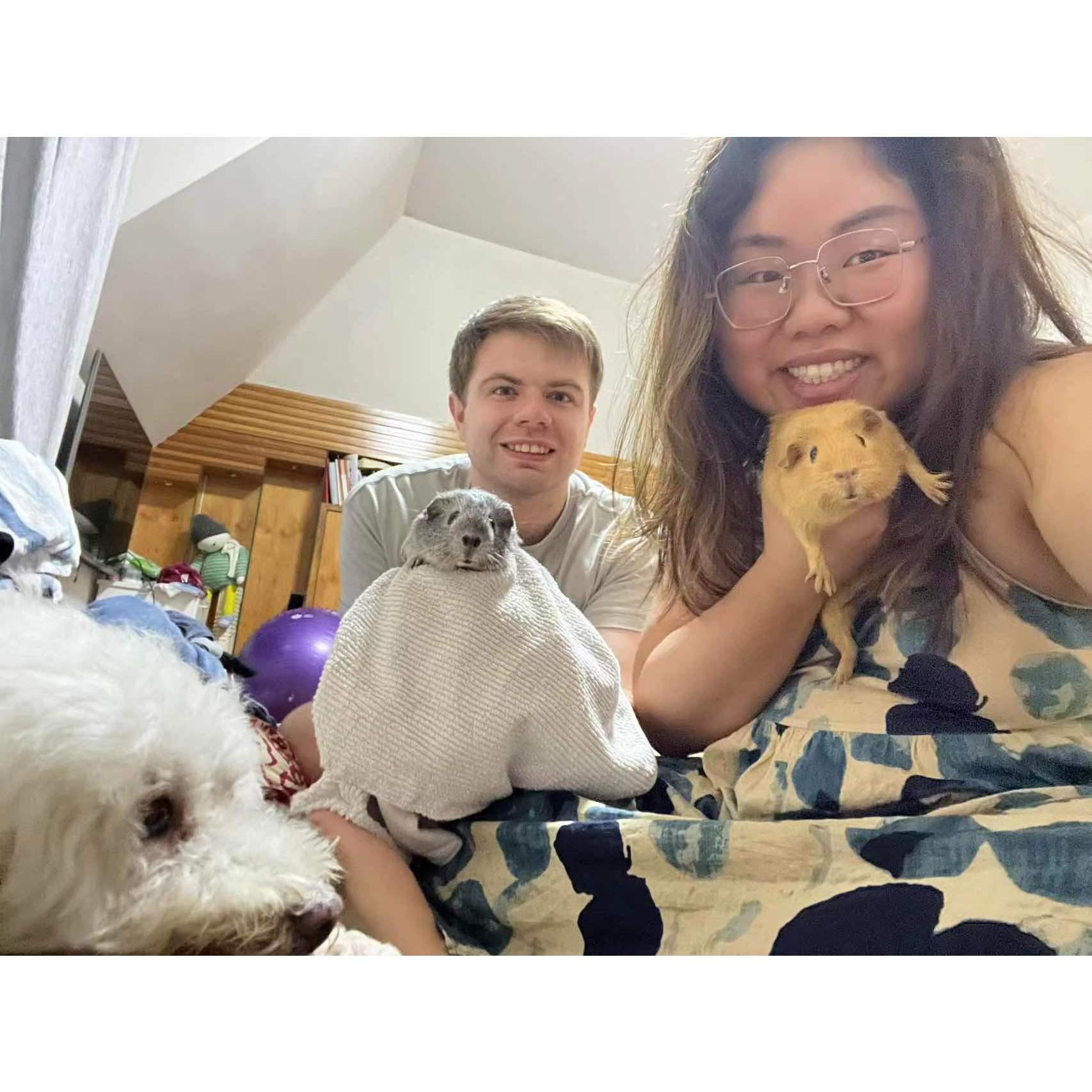 us and all our pets