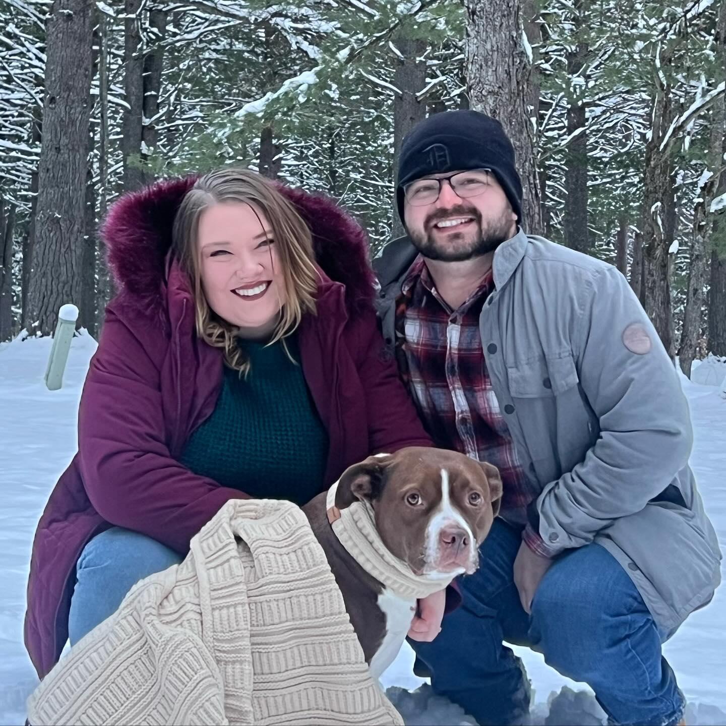 Big pittie fam