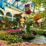 Bellagio Conservatory & Botanical Gardens