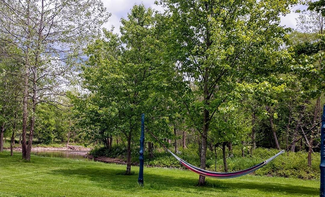 The Wedding Website of Rachel Koons and Erwin Bansil