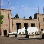 Memphis Zoo