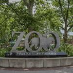A Wildly Fun Adventure: Philadelphia Zoo