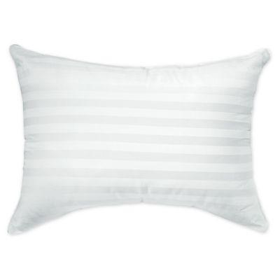 SALT™ Cotton Standard/Queen Bed Pillow