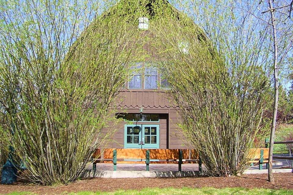 The Wedding Website of Tali Parnes and Devin Percell