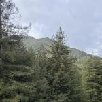 Mount Tamalpais