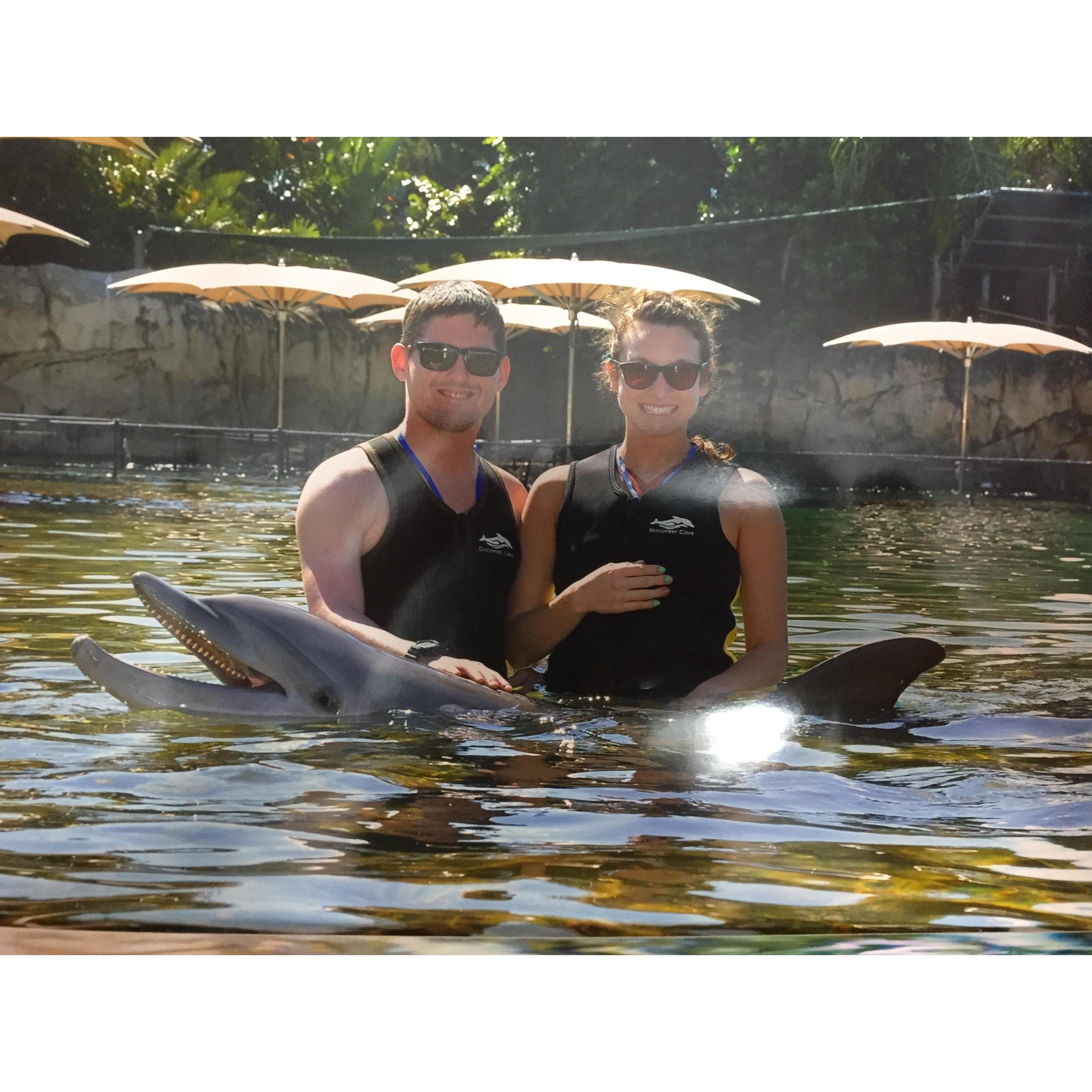 Dolphin Day!