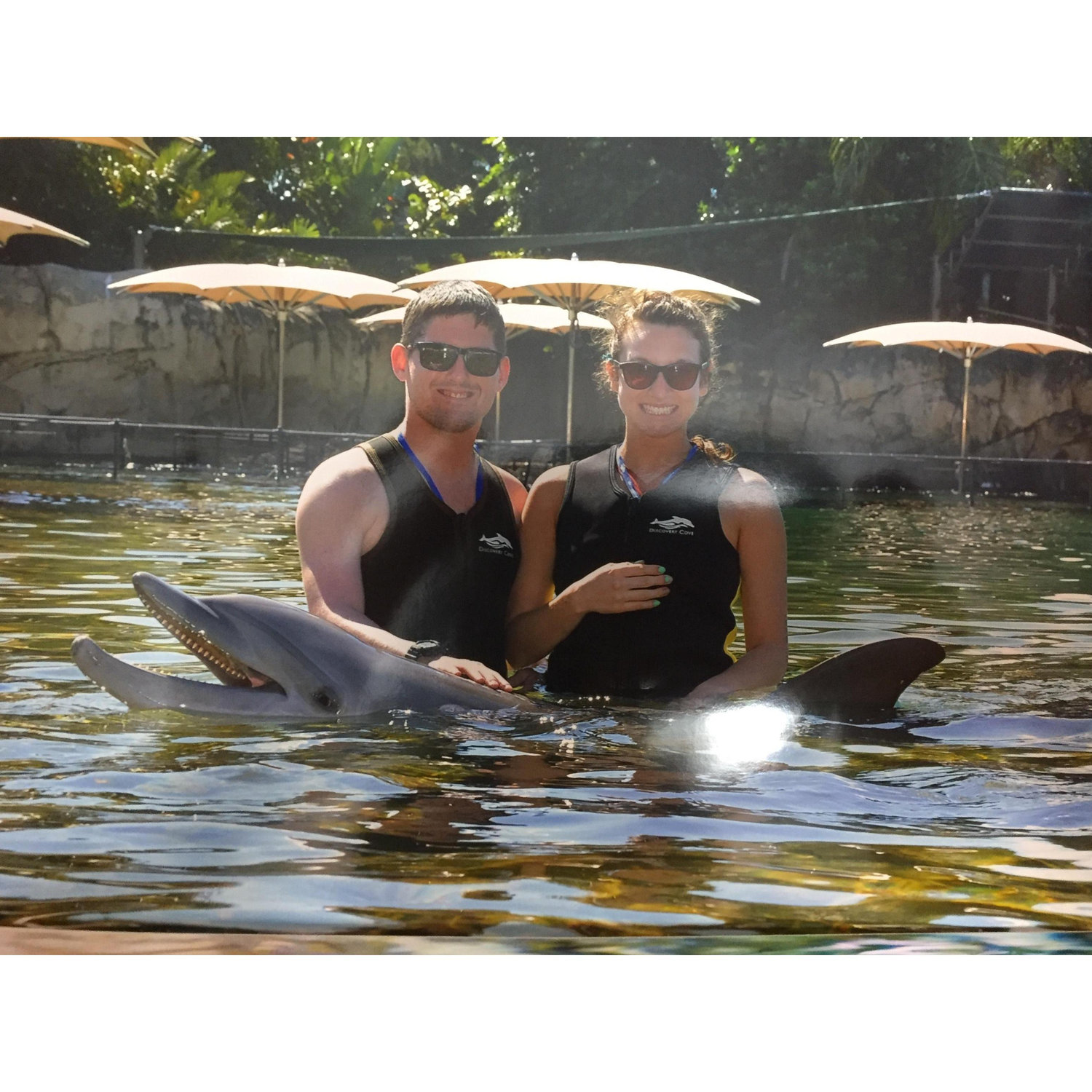 Dolphin Day!