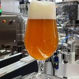 Save The World Brewing Co