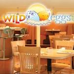 Wild Eggs