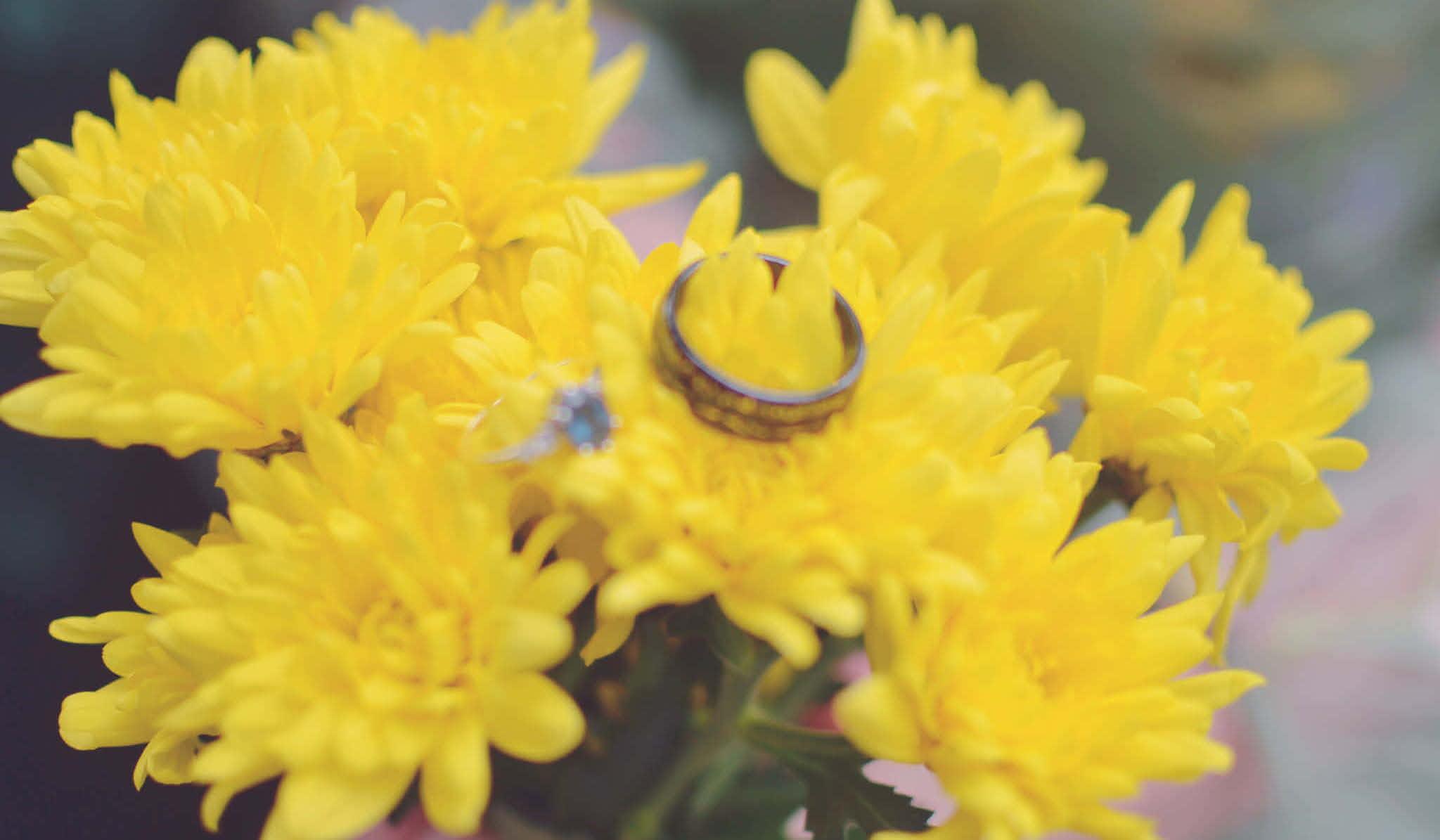 Hero Slideshow Image 0