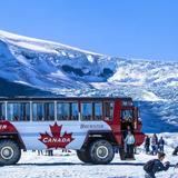 Columbia Icefield Glacier Adventure