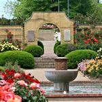 Tyler Rose Garden