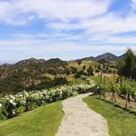 Malibu Wines & Beer Garden