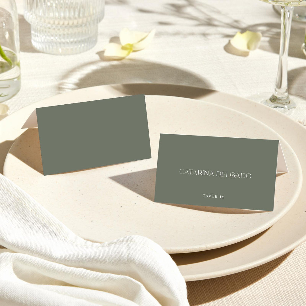 Hilltone | Dark Sage | Zola Wedding Place Cards