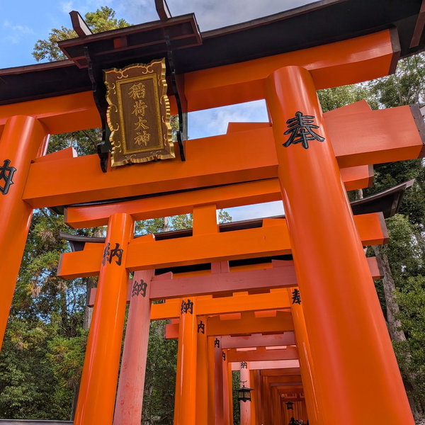 Our honeymoon fund - Japan!!
