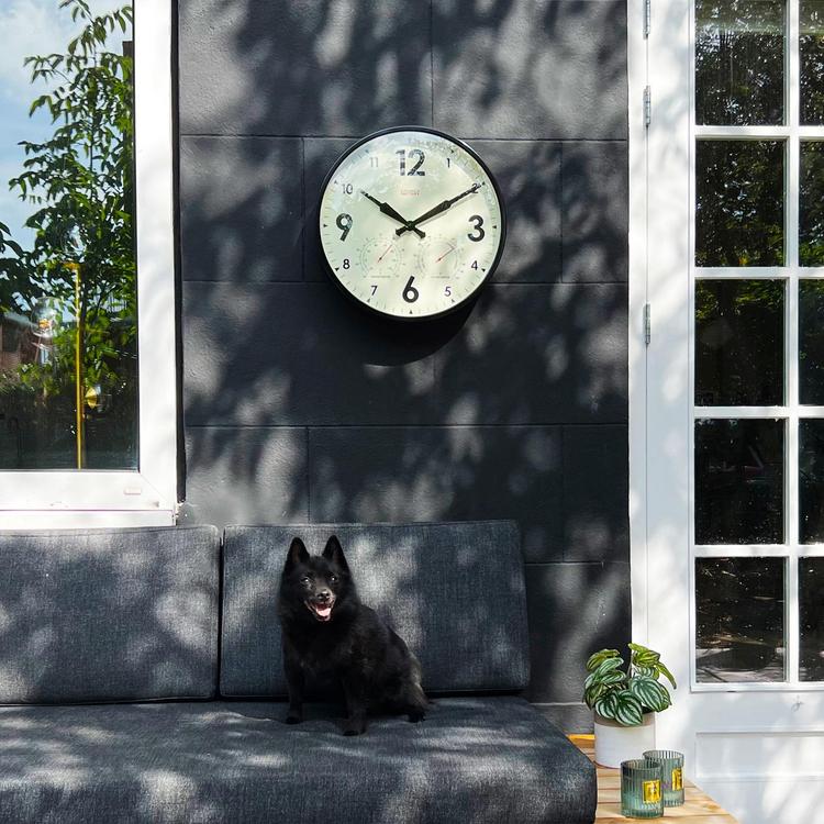 Cloudnola, Factory Outdoor Wall Clock & Weather Station | Zola