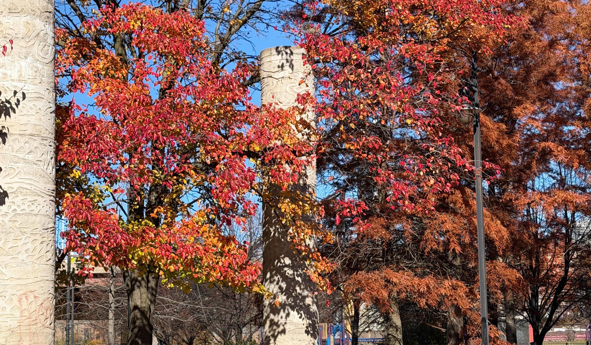 The Wedding Website of Syed Raza and Mayra Shuja