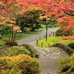 Washington Arboretum