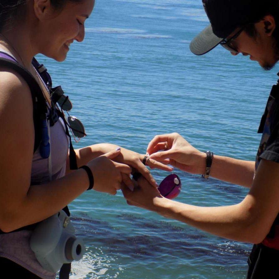 Yes, he proposed with a master ball!  XD/¡Sí, le propuso matrimonio con una Master Ball!