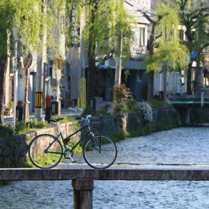 Honeymoon bike tour in Kyoto