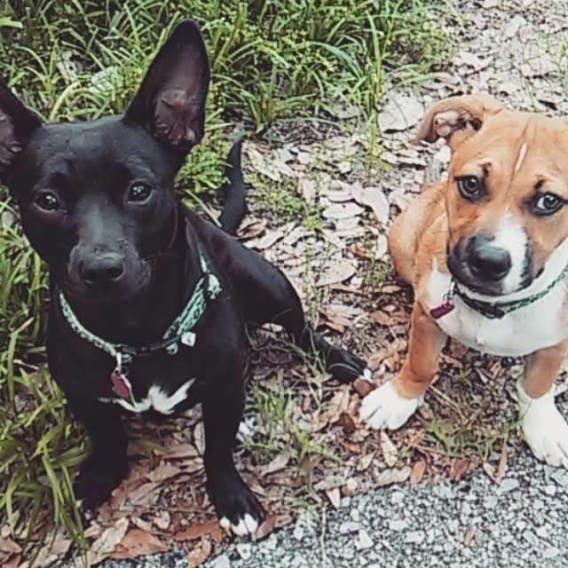 Our babies♥
