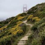 So many parks + hikes!