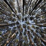 Oak Openings Metropark