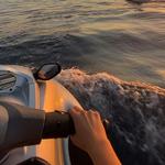 Jet Ski Rentals