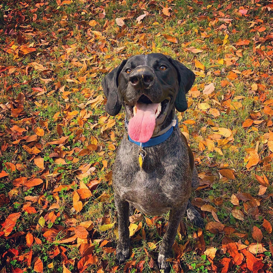 Our bog little boy!! Joeyyyy