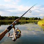 Fishing
