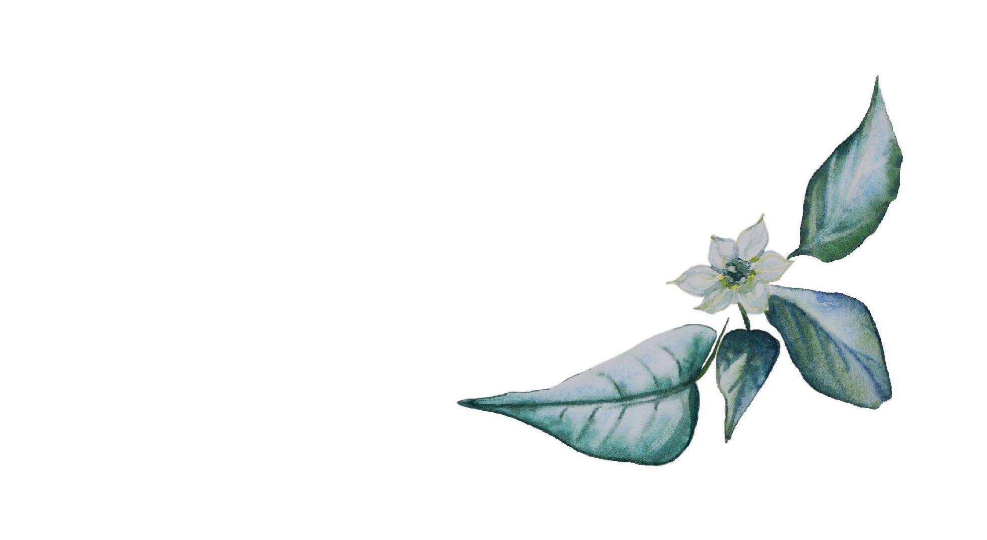 Footer image