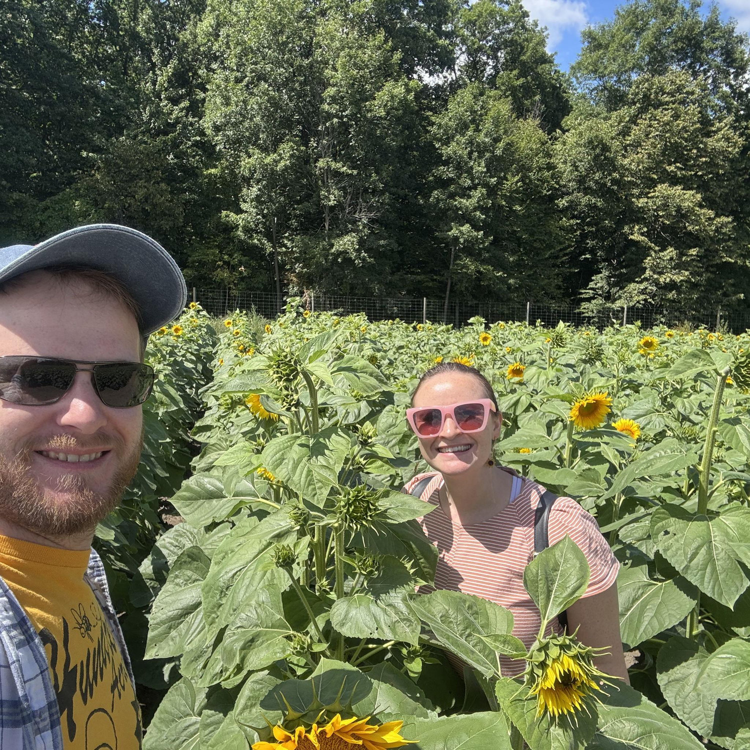 Blake's Sunflower Festival, 2025