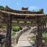 Japanese Tea Garden