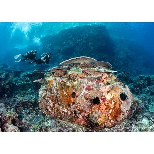 After 3 flights and 4 days at sea, we finally made it to Watu Balu.