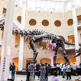 Fernbank Museum