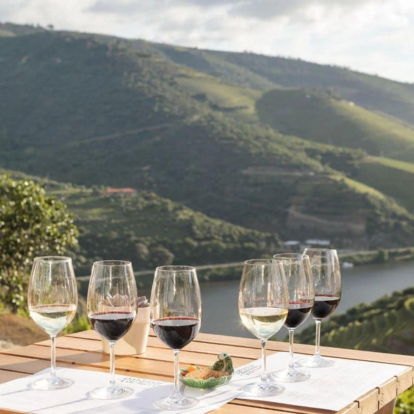 Wine Tasting on our Portugal Honeymoon 🇵🇹