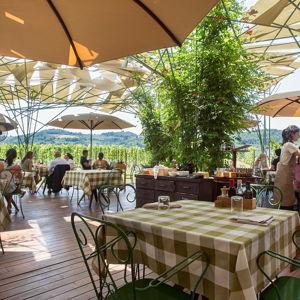 Day Three in Chianti: Lunch at Antinori’s Rinuccio 1180 Restaurant