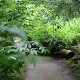 Schmitz Preserve Park